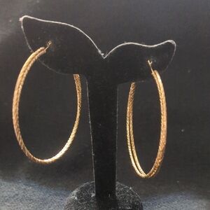 Gold Tone Double Hoop Statement Earrings